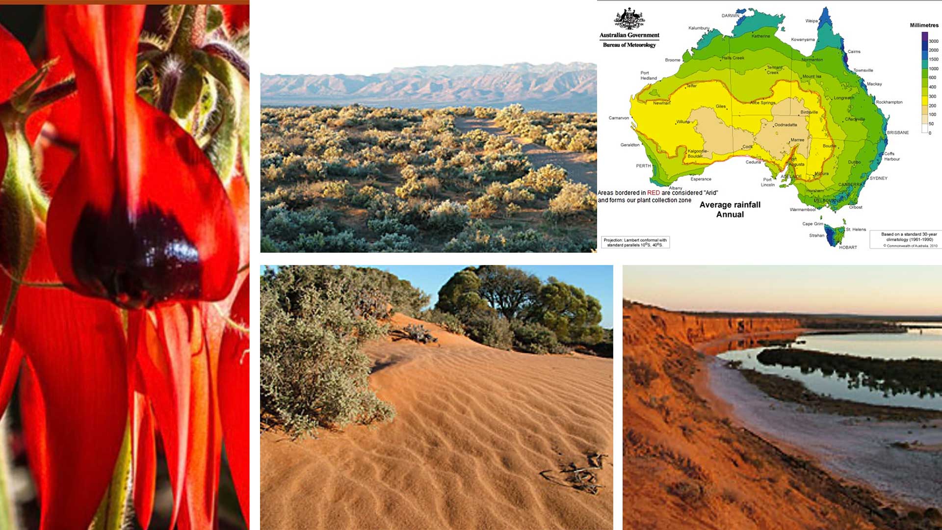 Australian Arid Lands Botanic Garden at Port Augusta in South Australia ...