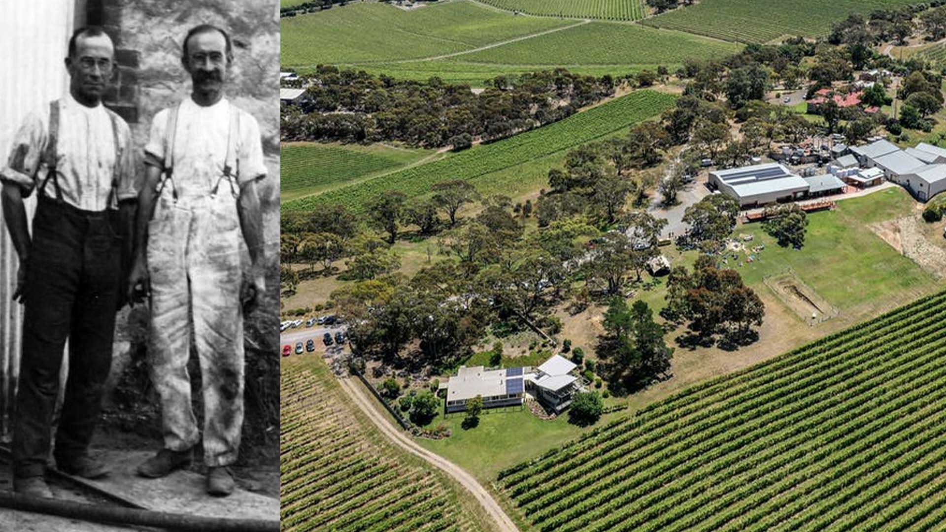 Kay Brothers winery at McLaren Vale salutes hard work and values